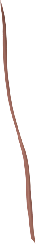 small stem 2